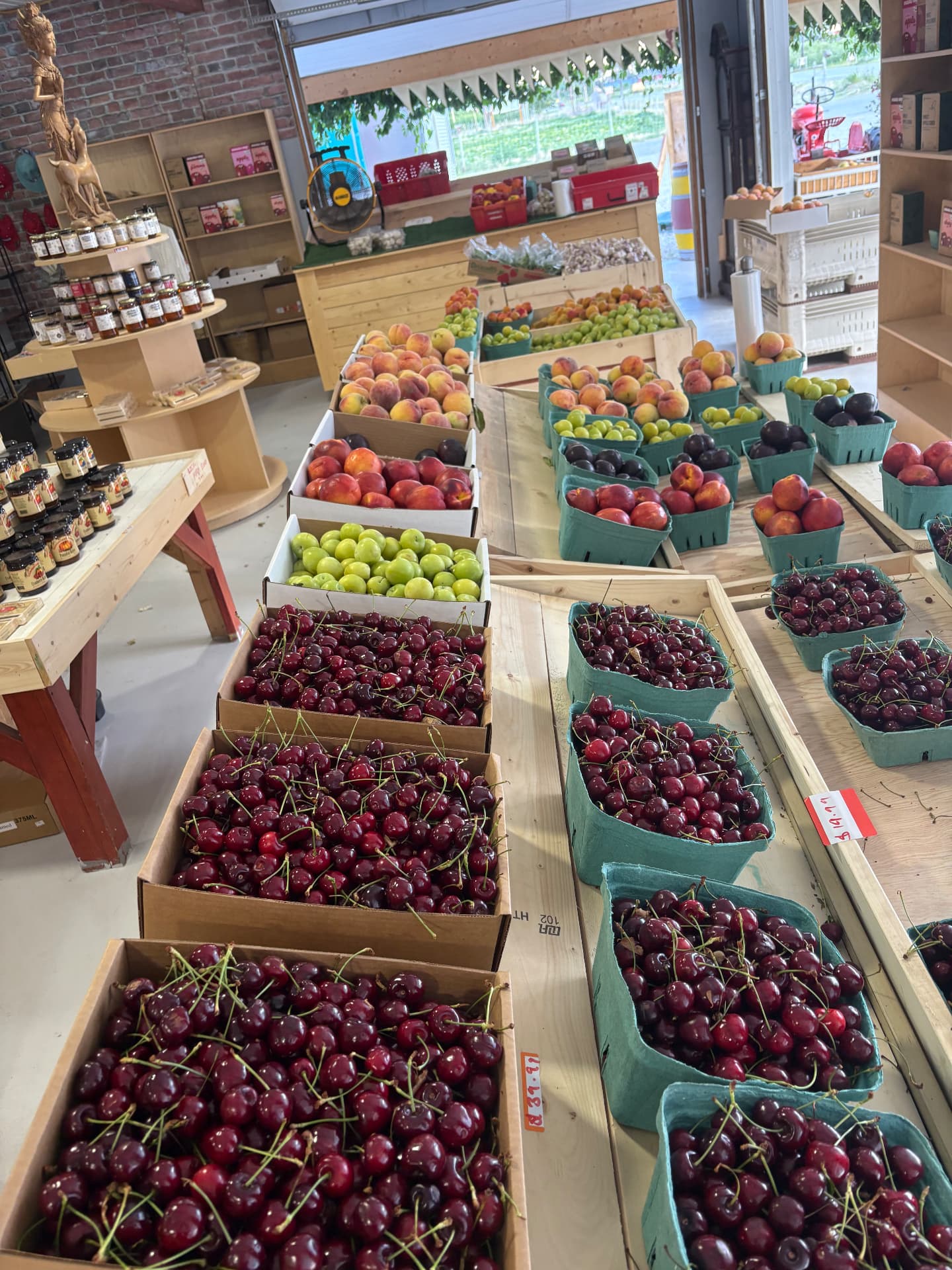 Tables of fresh cherries, plums and nectarines at Go-Go's Fruit Market